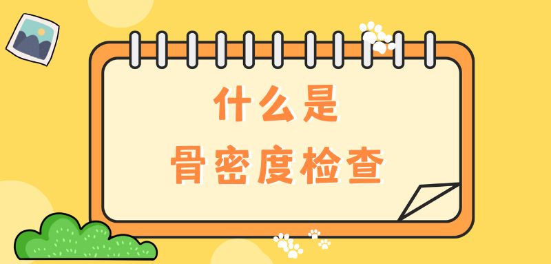 【雙能x線骨密度儀】什么是骨密度檢查？該怎么查？